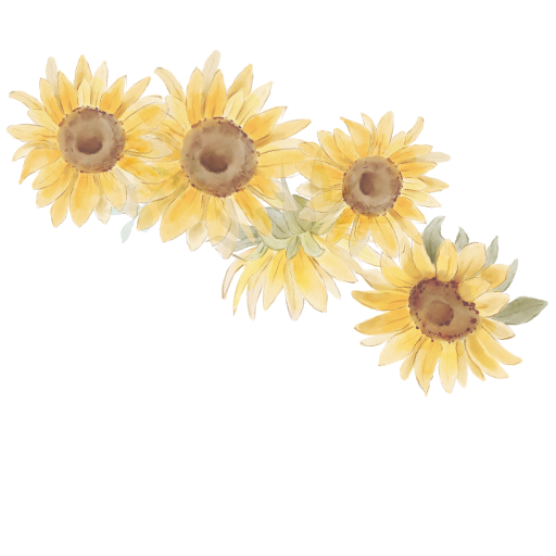 ひまわり